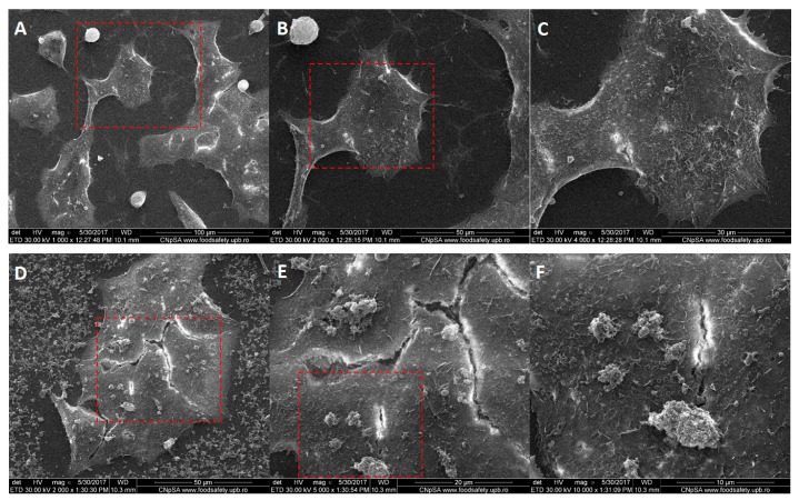 Figure 13