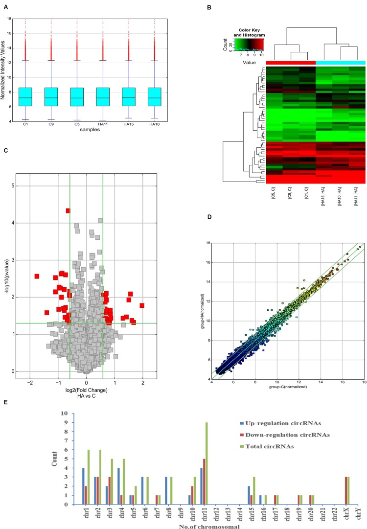 FIGURE 2