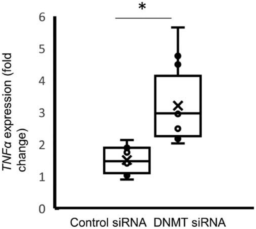 Fig. 10.