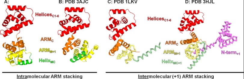 FIGURE 3.