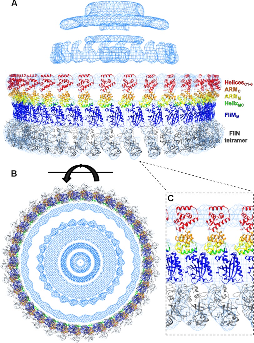 FIGURE 4.