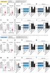 Figure 4. miRNA isoforms experimental gene targeting validation. A, C, E–G, miR-101-3p and (B, D, H–J) miR-101-3p (−1|−2) experimental targeting validation in lung cancer cells. Expression of miR-101-3p (A) and miR-101-3p (−1|−2; B) in normal and tumor samples in TCGA-LUAD cohort. PTGS2 (C) and DSC2 (D) expression in TCGA-LUAD samples in miR-101-3p/miR-101-3p (−1|−2) first (Q1) and third (Q3) quartile. Luciferase assay for psiCHECK-2-PTGS2 3′ UTR WT (E) and psiCHECK-2-DSC2 3′ UTR WT (H) constructs cotransfected with mirVana miRNA mimics for miR-101-3p, miR-101-3p (−1|−2), and negative scramble miRNA control (SCR) in HEK-293 cells performed 24 hours after the transfection. Western blotting depicts the downregulation of PTGS2 (F, G) or DSC2 (I, J) proteins in A549 and H1299 cells, respectively, after miR-101-3p and miR-101-3p (−1|−2) overexpression. Densitometric quantification of western blotting signals (F, G; I, J) was performed using ImageJ (NIH, https://imagej.nih.gov/ij/, 1997–2018). K, M, O–Q, miR-381-3p and (L, N, R–T) miR-381-3p_4_A_G experimental targeting validation in TNBC cells. Expression of both miR-381-3p miRNA isoforms in normal and breast cancer samples in TCGA-BRCA cohort (K, L). Luciferase assay for psiCHECK-2-UBE2C 3′ UTR WT (O) and psiCHECK-2-SYT13 3′ UTR WT (R) constructs cotransfected with mirVana miRNA mimics for miR-381-3p, miR-381-3p_4_A_G, and negative scramble miRNA control (SCR) in HEK-293 cells performed 24 hours after the transfection. Western blotting represents the downregulation of UBE2C (P, Q) and SYT13 (S, T) proteins in MDA-MB-231 and HCC70 cells after miR-381-3p and miR-381-3p_4_A_G upregulation via mirVana miRNA mimic transfection. The histogram reports densitometric quantification of western blotting signals (P, Q; S, T) performed using ImageJ (NIH, https://imagej.nih.gov/ij/, 1997–2018). Pictures are representative of at least three experiments. The fold of increase in the graphics is the mean value of 3 replicates. P < 0.05 was considered statistically significant. Annotations for *, 0.01 ≤ P < 0.05; **, 0.001 ≤ P <0.01; ***, P < 0.001 are provided accordingly. Error bars indicate the three biological replicates’ standard deviation (SD). The horizontal bar in each violin-like plot indicates the median. In western blot experiments, VCL indicates VINCULIN.