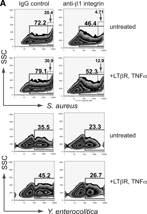 FIG. 5.