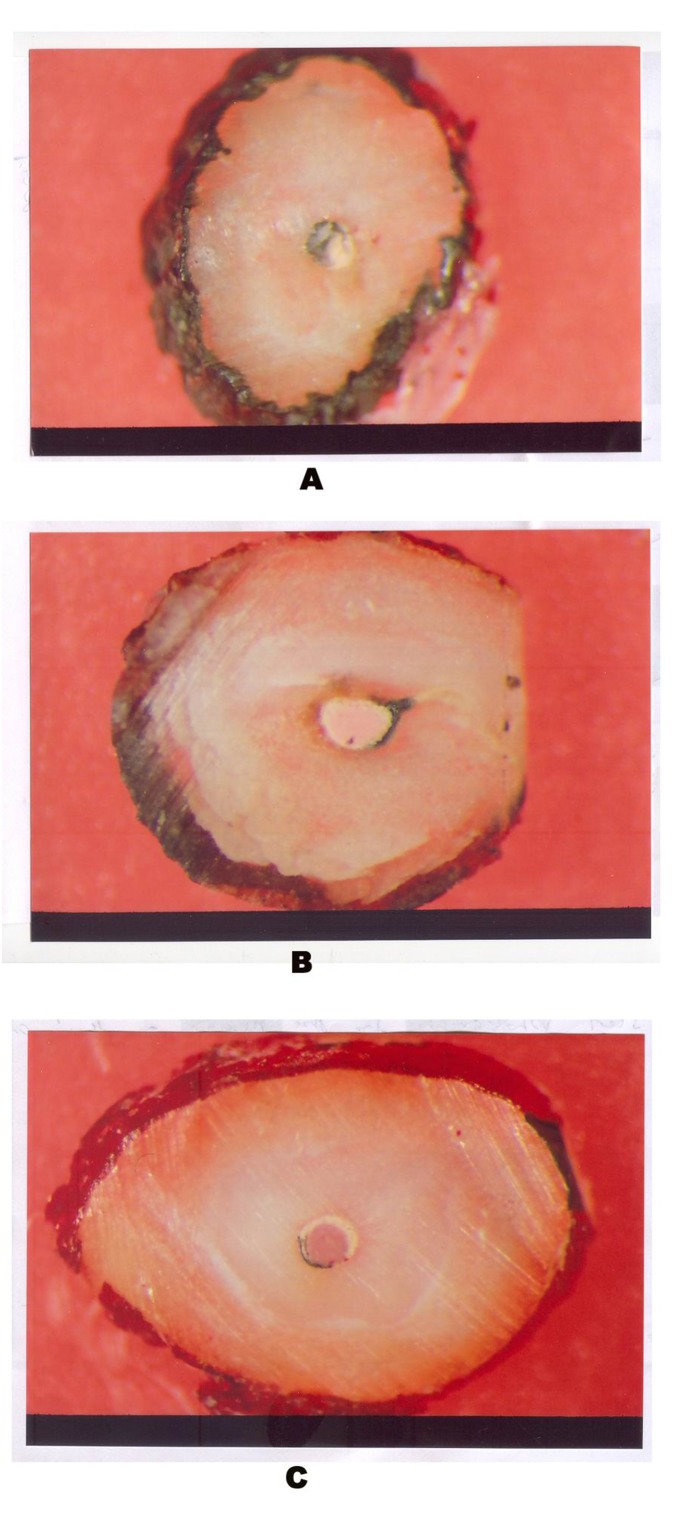 Fig. 19:GuttaFlow – Section A, B & C