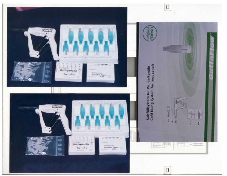 Fig. 5: GuttaFlow