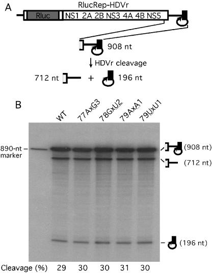 FIG. 7.