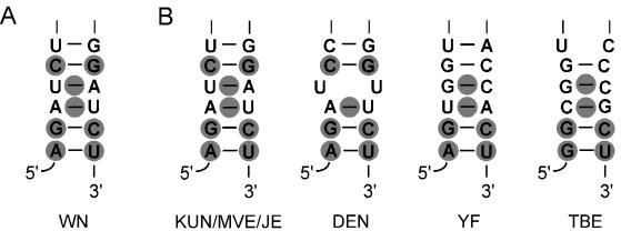 FIG. 8.