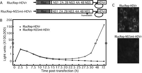 FIG. 2.