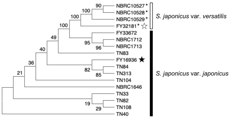 Figure 6