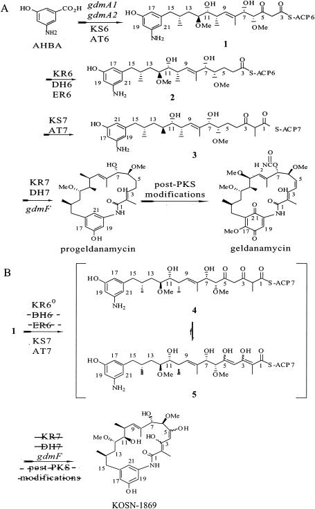 FIG. 5.