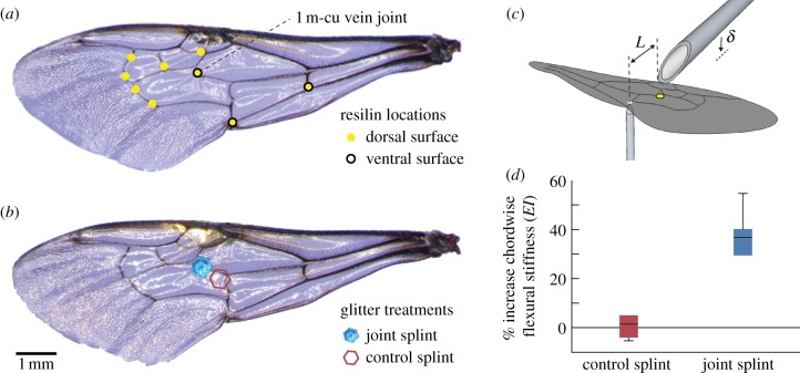 Figure 1.