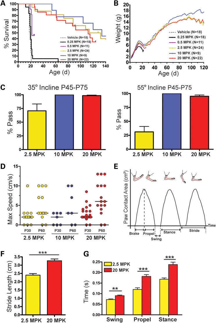 Figure 3.