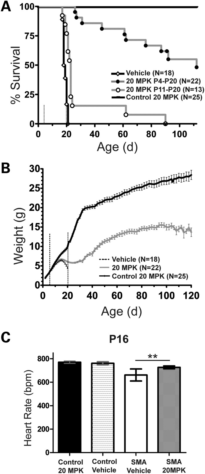 Figure 2.