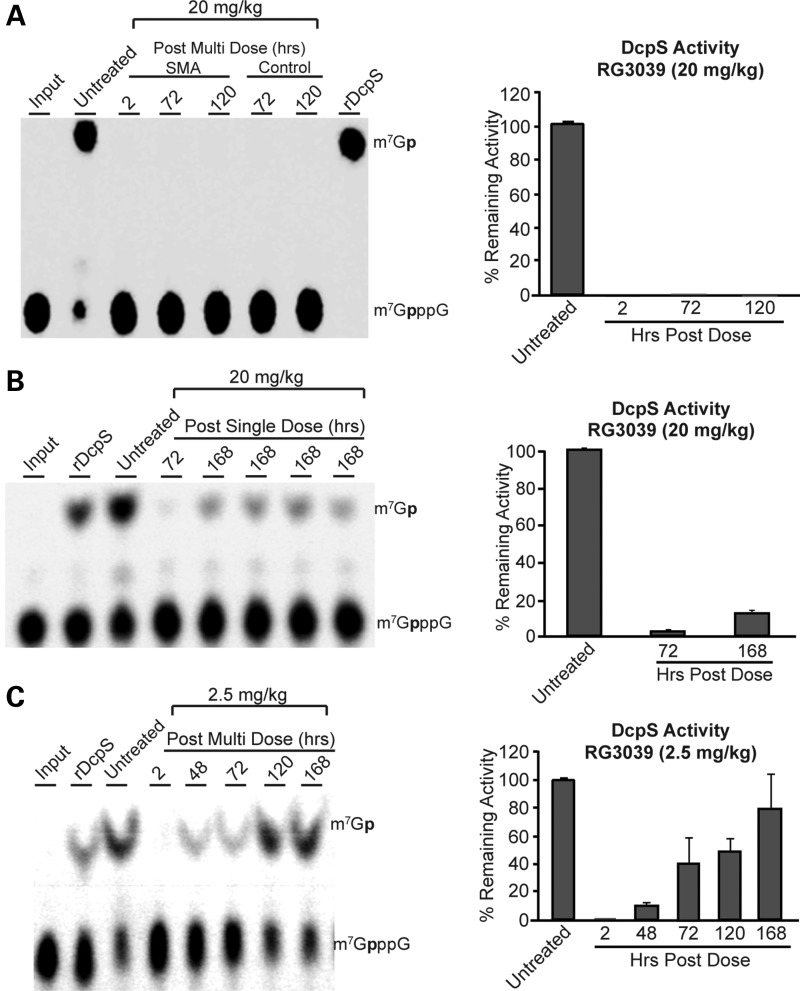 Figure 4.