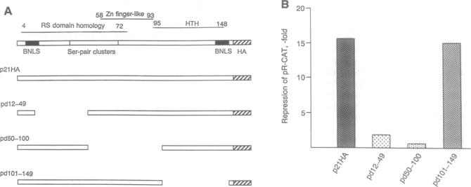 graphic file with name pnas01145-0256-a.jpg