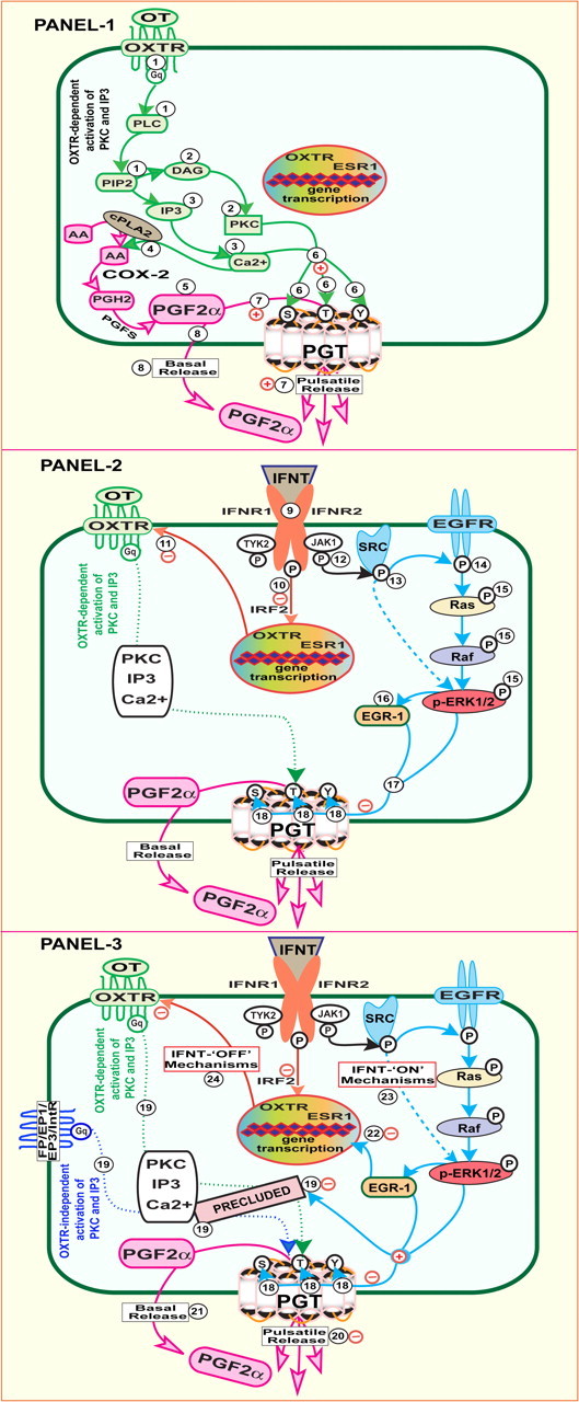 Fig. 7.