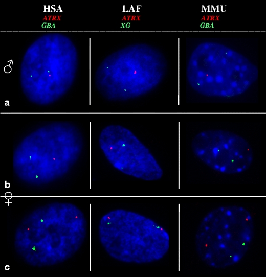 Fig. 1