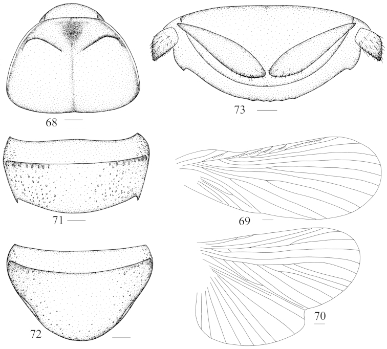 Figures 68–73.