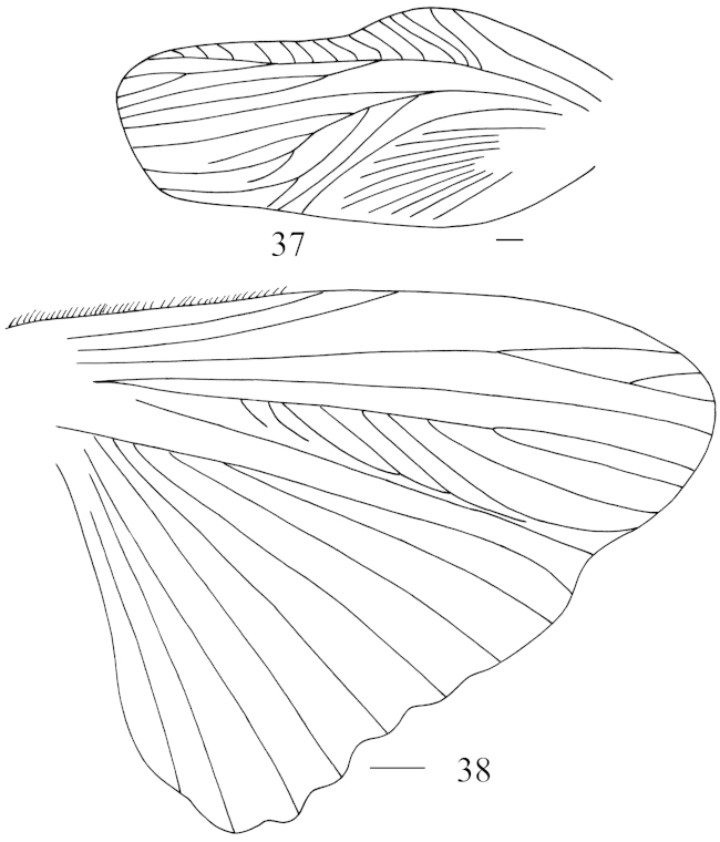 Figures 37–38.