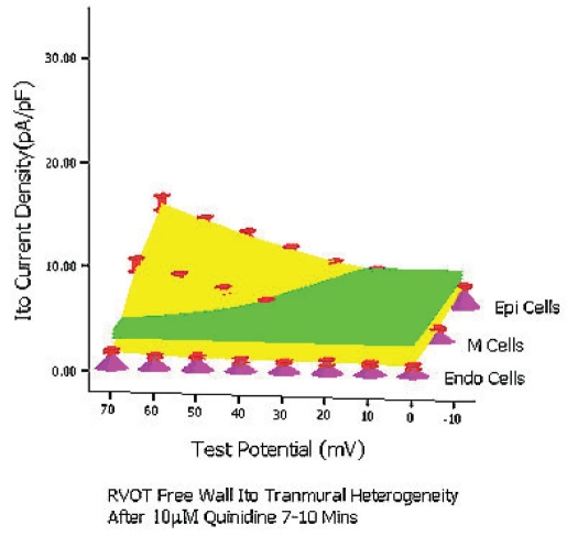 Figure 6C