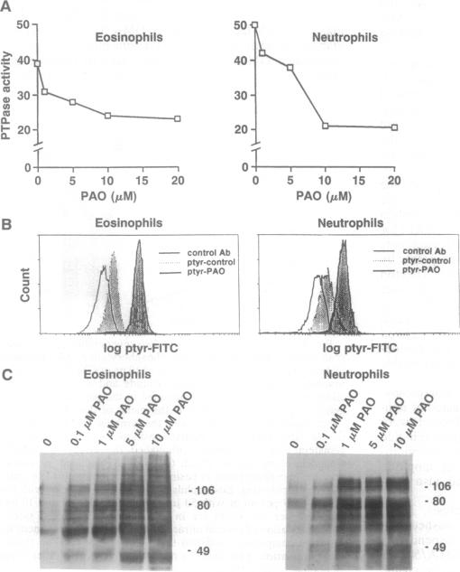 graphic file with name pnas01145-0121-a.jpg