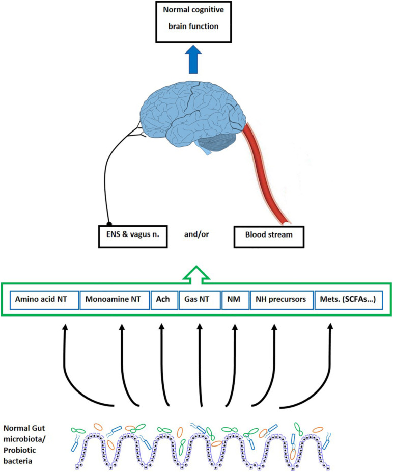 FIGURE 2