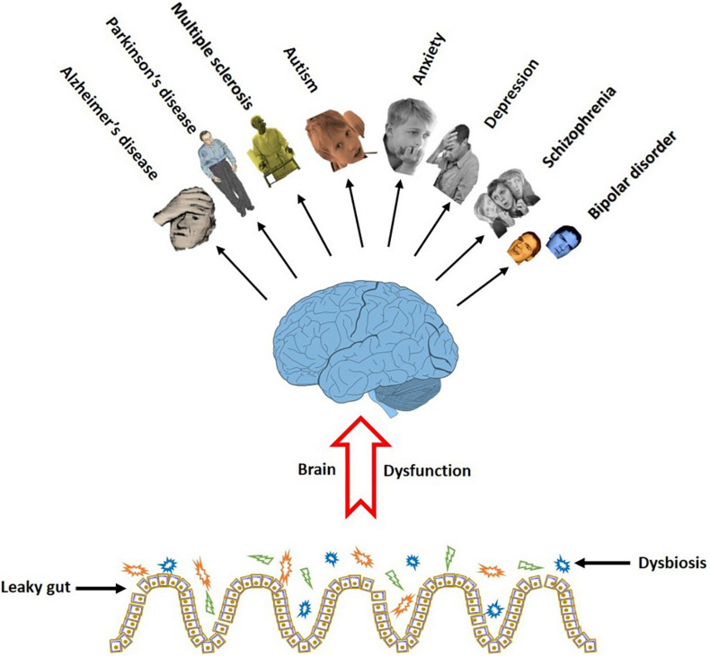 FIGURE 3