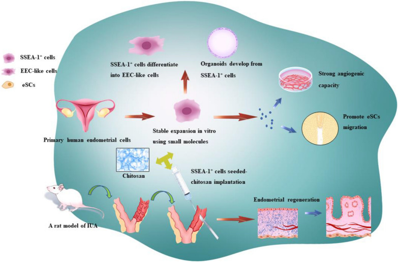 graphic file with name 13578_2022_905_Figa_HTML.jpg