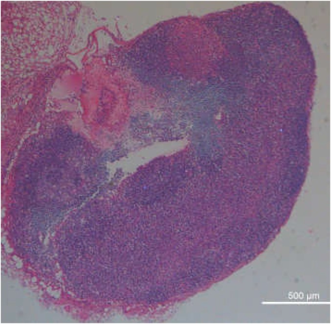 Fig. S7.