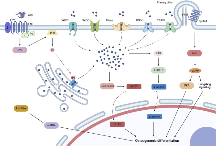 FIGURE 4