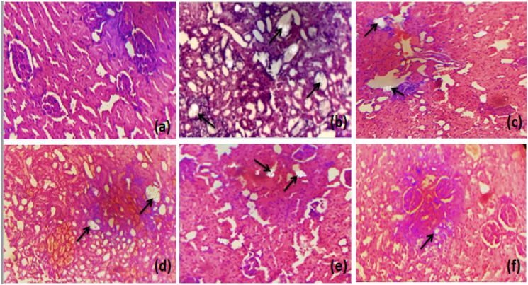 Figure 10.