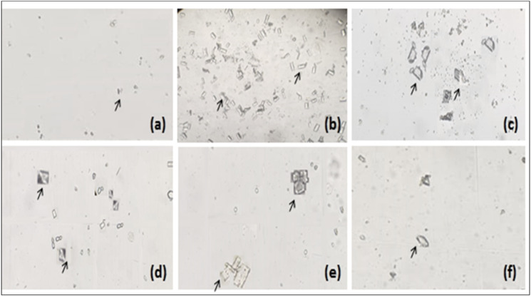 Figure 7.