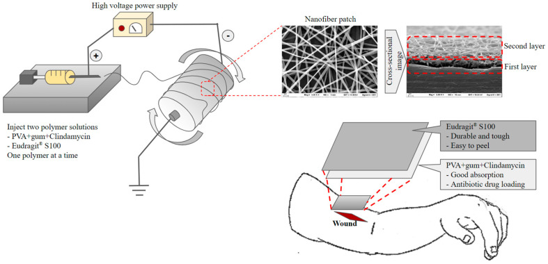 Figure 5