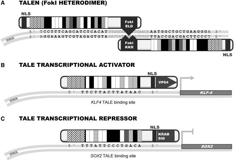 Figure 3: