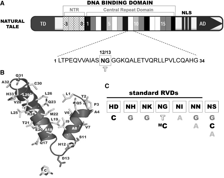 Figure 1: