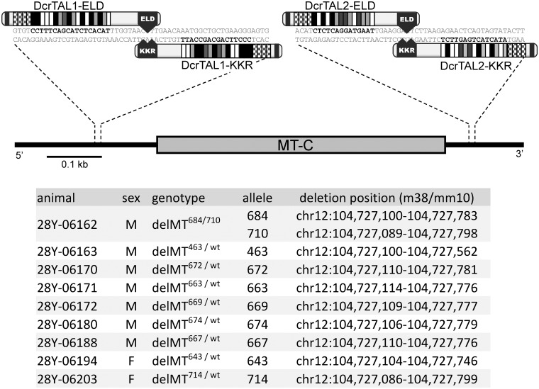 Figure 4: