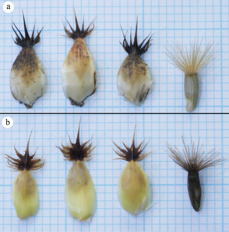 Figure 4.