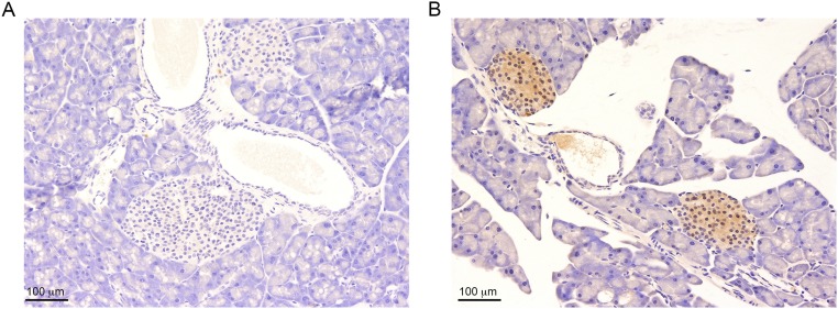 Fig. S6.