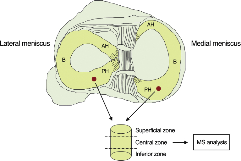 Fig. 2