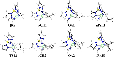 Fig. 3.