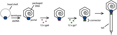 Fig. 1.