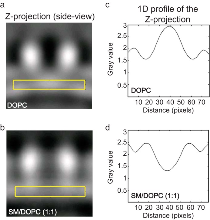 FIGURE 4.