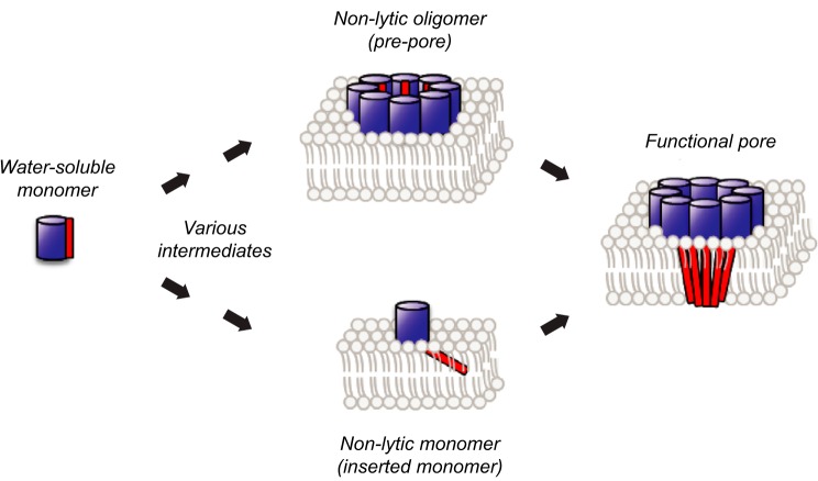 FIGURE 1.