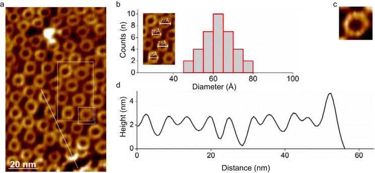 FIGURE 6.