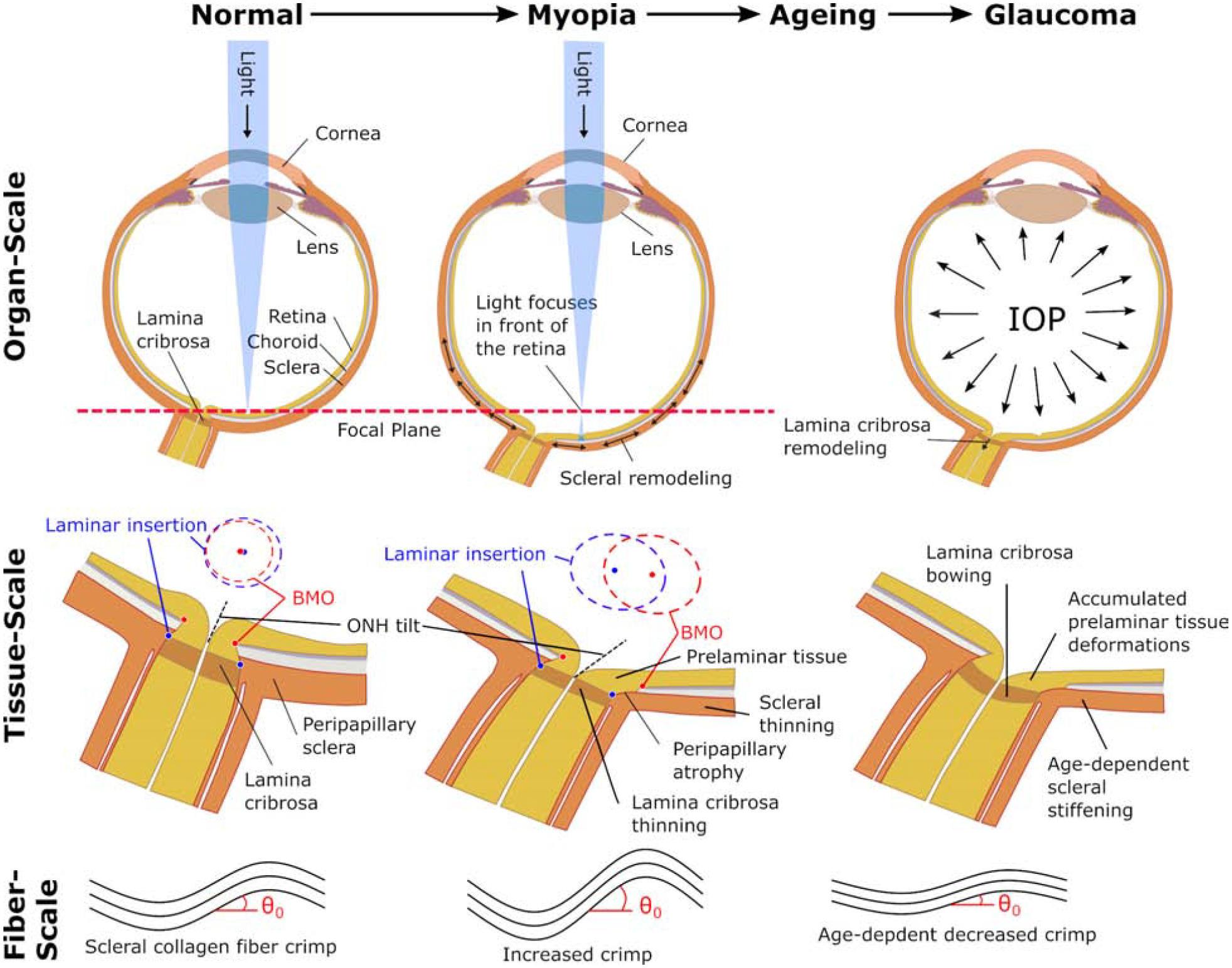 Figure 5: