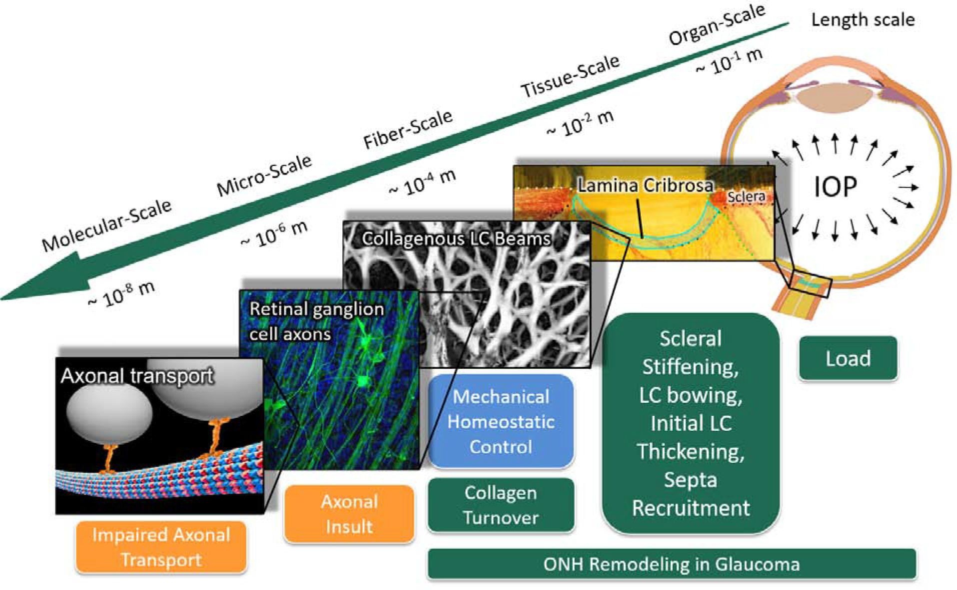 Figure 3: