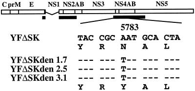 FIG. 6