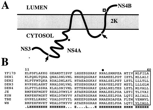 FIG. 8