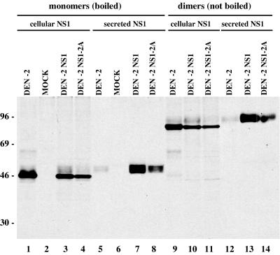 FIG. 1