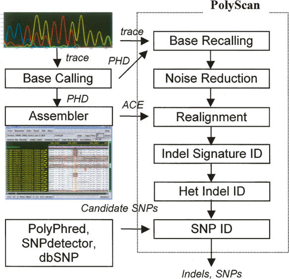 Figure 3.